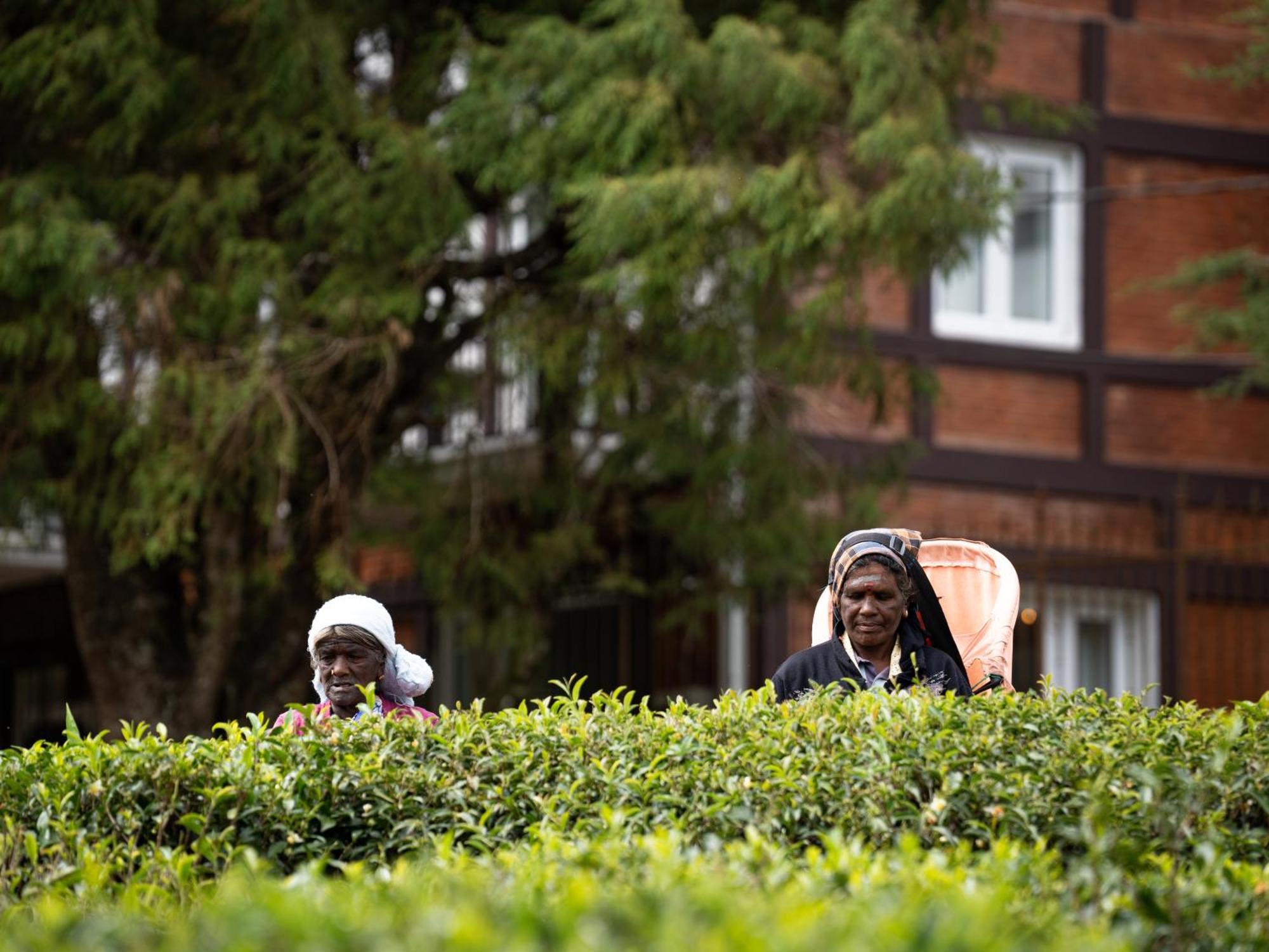 Winchester Little England Nuwara Eliya Exterior foto